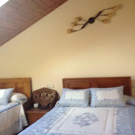 Casa de hóspedes Tribal 3*