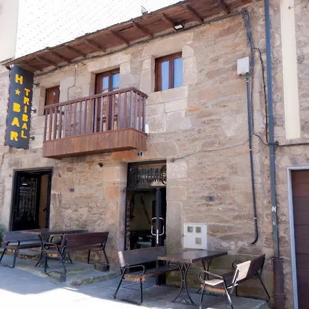 Casa de hóspedes Tribal 3*